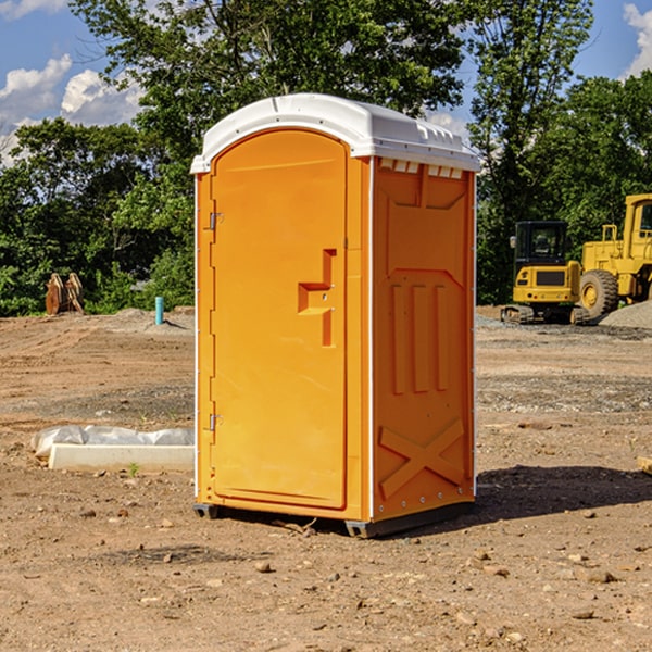 how often are the porta potties cleaned and serviced during a rental period in Caroga